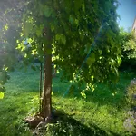 Bergfohlenhof *