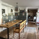 Bergfohlenhof