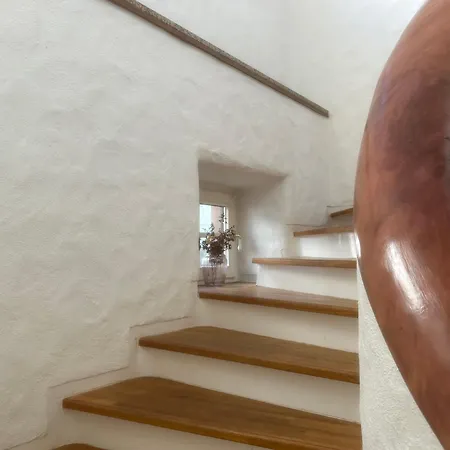 Bergfohlenhof * Höchst im Odenwald