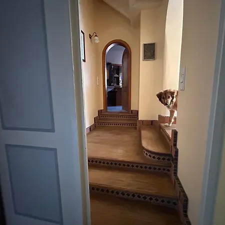 Bergfohlenhof * Höchst im Odenwald