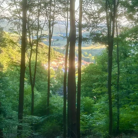 Bergfohlenhof Lejlighed *