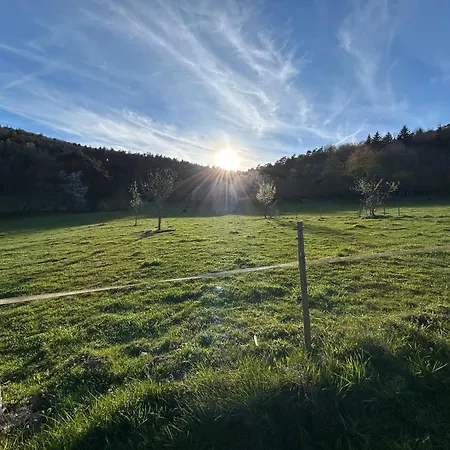 Bergfohlenhof * Höchst im Odenwald